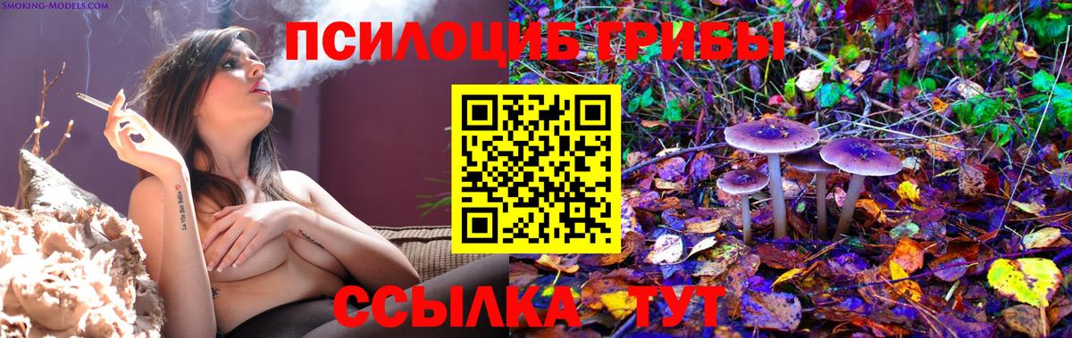 Псилоцибиновые грибы MAGIC MUSHROOMS Шелехов