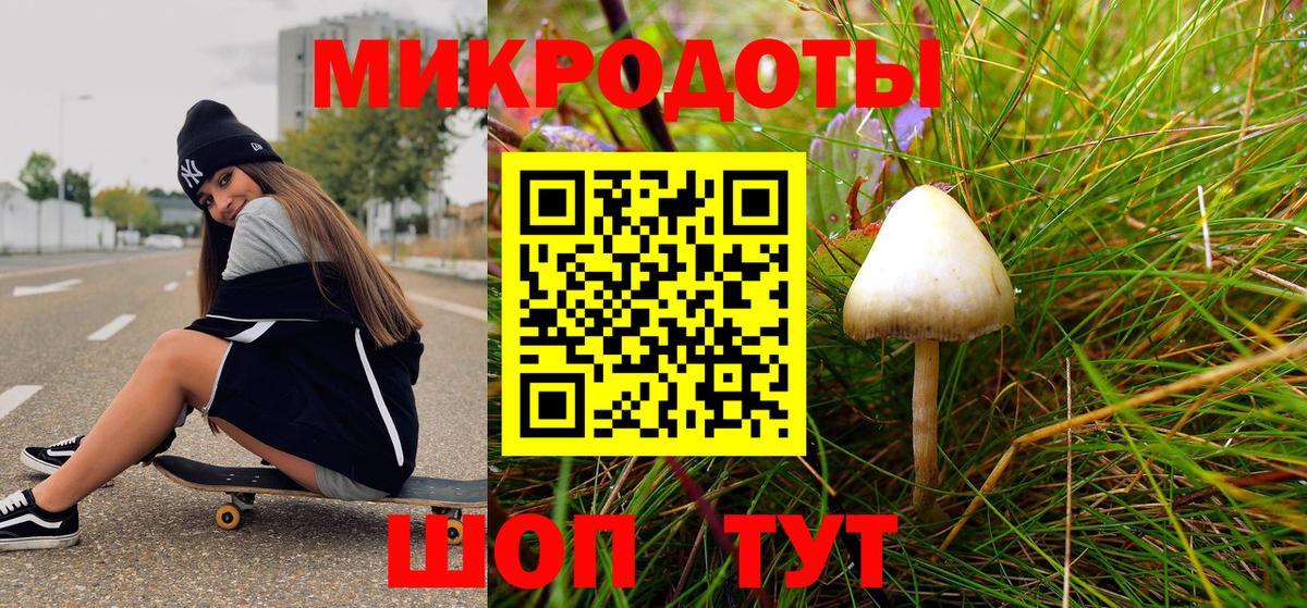 Шелехов  даркнет сайт  Вход с VPN  Псилоцибиновые грибы Psilocybe 
