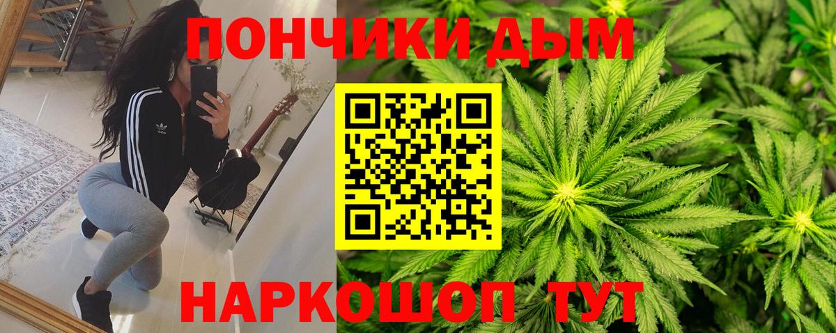 Шишки марихуана план Шелехов